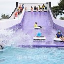 내장산문화광장 이미지