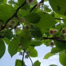 가락골 농장 이미지