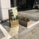 돌체도노 이미지