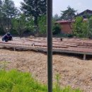 부흥민박 이미지