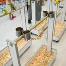 리프패럿 롯데마트 광복점 이미지