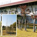 삼부주유소 이미지