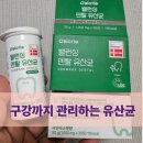봄덴탈 | [체험/협찬]오바이오틱 밸런싱 덴탈 유산균 샤인머스켓향 내취향.... (아이들 구강케어에도 좋을듯!)