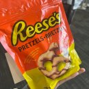 HOTEL STAY 318 | 캐나다 밴프 숙소 / 엘크+애비뉴 호텔 (Elk+Avenue Hotel) / 마트, 롬트랜짓 근처 다운타운 중심지