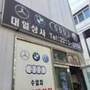 대일견인 이미지