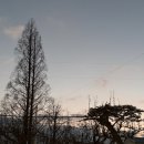 채도목장 네이버블로그