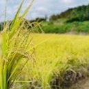 21세기종합센타 이미지