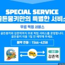 점핑하이춘천 | 강원도/가평 빠지 골든몽키 놀이기구 무제한패키지 7월 평일 방문후기