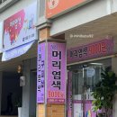 오창 구피샵 내돈내산 후기 (Feat. 추천 비추천 이유)