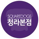 스퀘어독스 펫 이미지