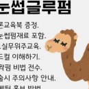 주뷰티