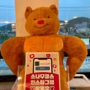 소나무헬스 이미지