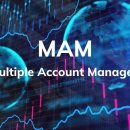 (주)위트레이딩 이미지