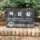 작은동경 이미지