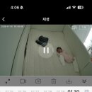 11545-01-52-48 | 정보 집착과 폭풍서치 끝에 구매! [키디몽드 꾸메] 데이베드 내돈내산 후기