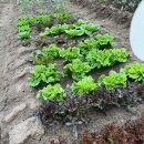 두두농장 이미지