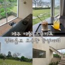 오롬마르 | 제주 애월 카페 오롬마르 감성 가득한 루프탑 반려동물 동반 후기