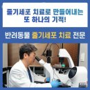 미래지동물의료센터 네이버블로그