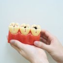 광장치과재료 이미지