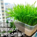 세경농장 이미지