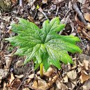 산골 독채 민박 이미지