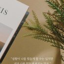 오늘하루 이미지