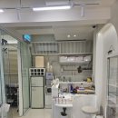 겸서뷰티 대구 눈썹&왁싱