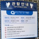 송현초등학교 정문 육교 아래 | 동래가볼만한곳 부산해양자연사박물관 아이도 어른도 재밌는 무료 실내 전시 후기