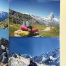 나리롯지 이미지