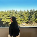 바우약국 | 연말정산 : 12월 겨울 속초여행 2 (청초수물회,보사노바커피,속초해수욕장,금이야옥이야)