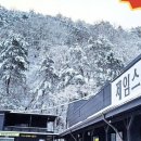 대명정비샵 이미지