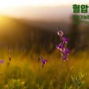 동녁골농장 이미지