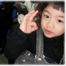 태풍합기도 이미지