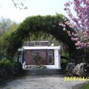 안양대학교 대신신학대학원 이미지