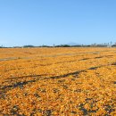 태양목장 이미지