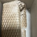 (주)바이오덴 이미지