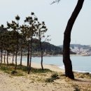 거북만 펜션 이미지