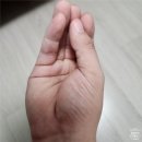 진성족발 이미지