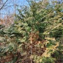 상수리숲농장 이미지