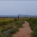 가파도올레길 이미지