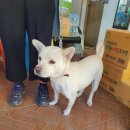 성진주유소 이미지