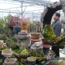 동산농장 이미지