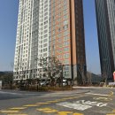 더포레스트 이미지