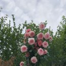 지리산별담 네이버블로그