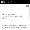 Groomer Ameri 이미지