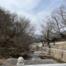 엄마손꿀꿀이 이미지