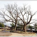 영암도기박물관 이미지