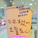 라인댄스 초중급 이미지
