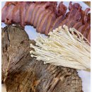 오리한마리 이미지