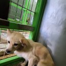 청북새싹길 이미지